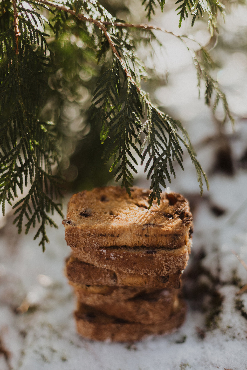 Trenary Home Bakery - Trenary Home Bakery